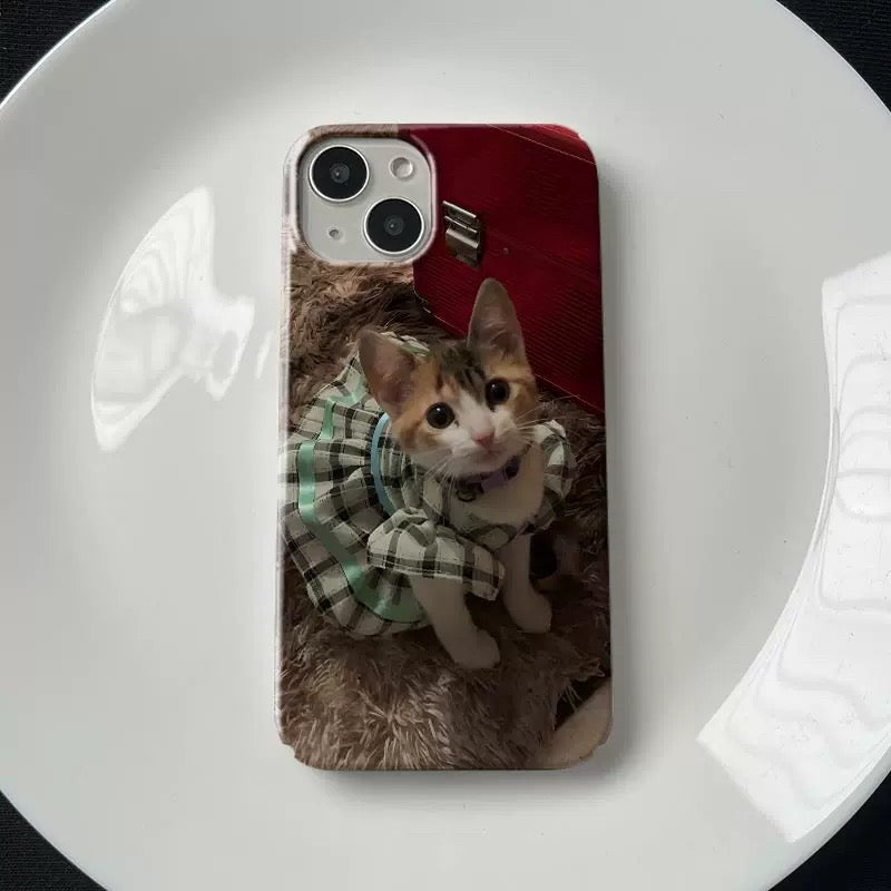 Cat in a dress