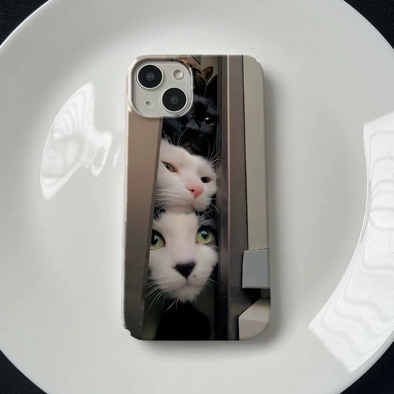 Cat in the door