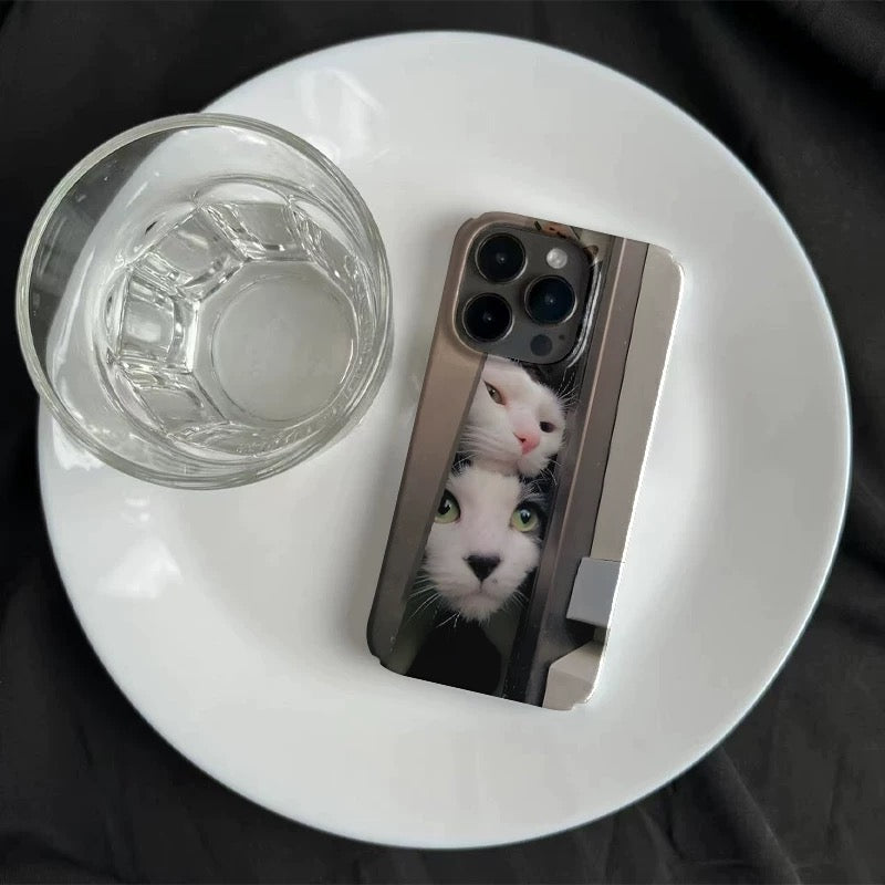 Cat in the door